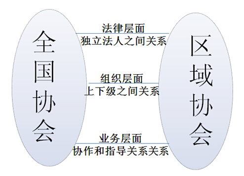 協(xié)會(huì)間關(guān)系.jpg