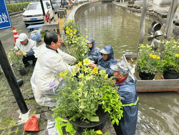 圖十五.png